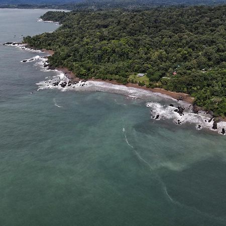 Fauna Lodge Drake Bay ภายนอก รูปภาพ
